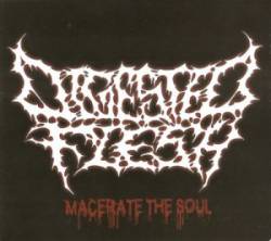 Digested Flesh : Macerate the Soul